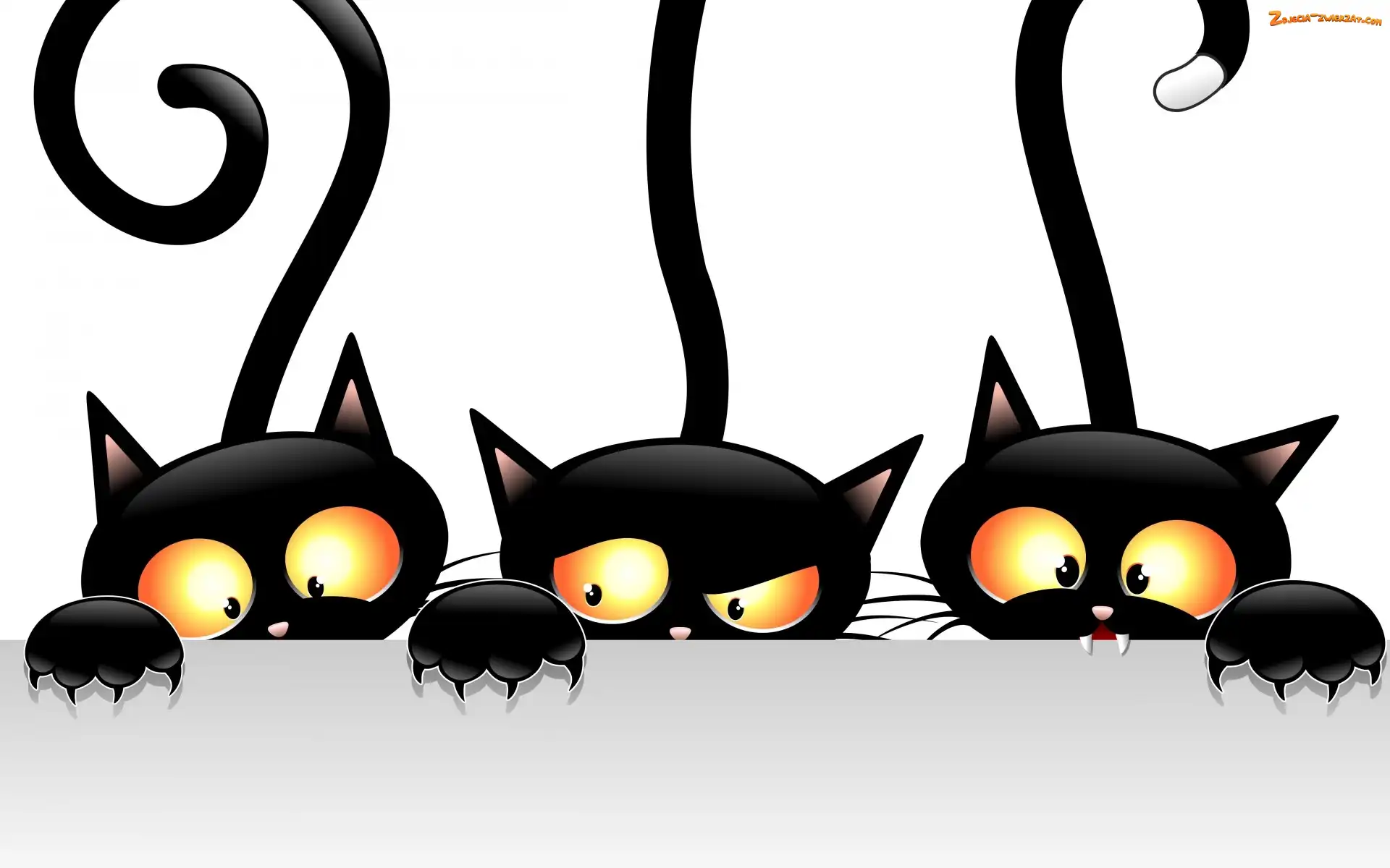 Koty, Grafika 2D, Czarne