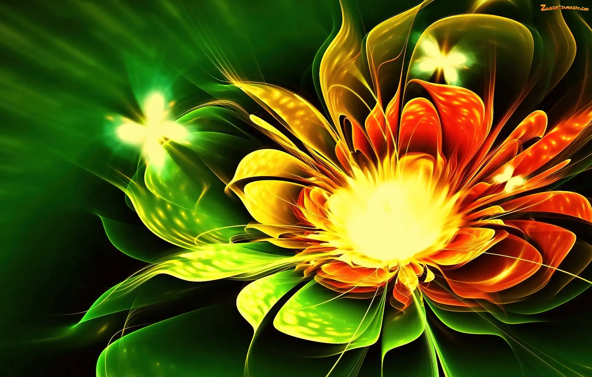 Kolorowy, Kwiat, Fractalius, Motyle
