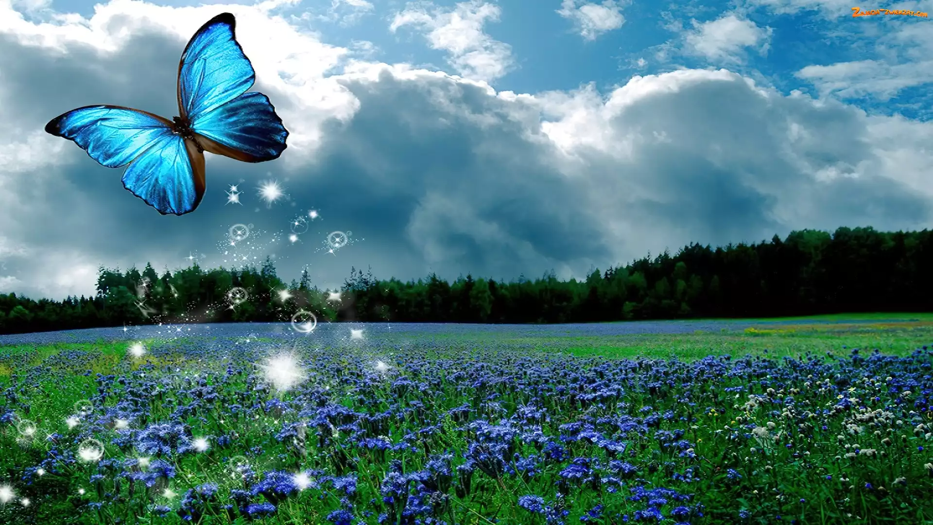 Kwiatki, Łąka, Motyl, Trawa