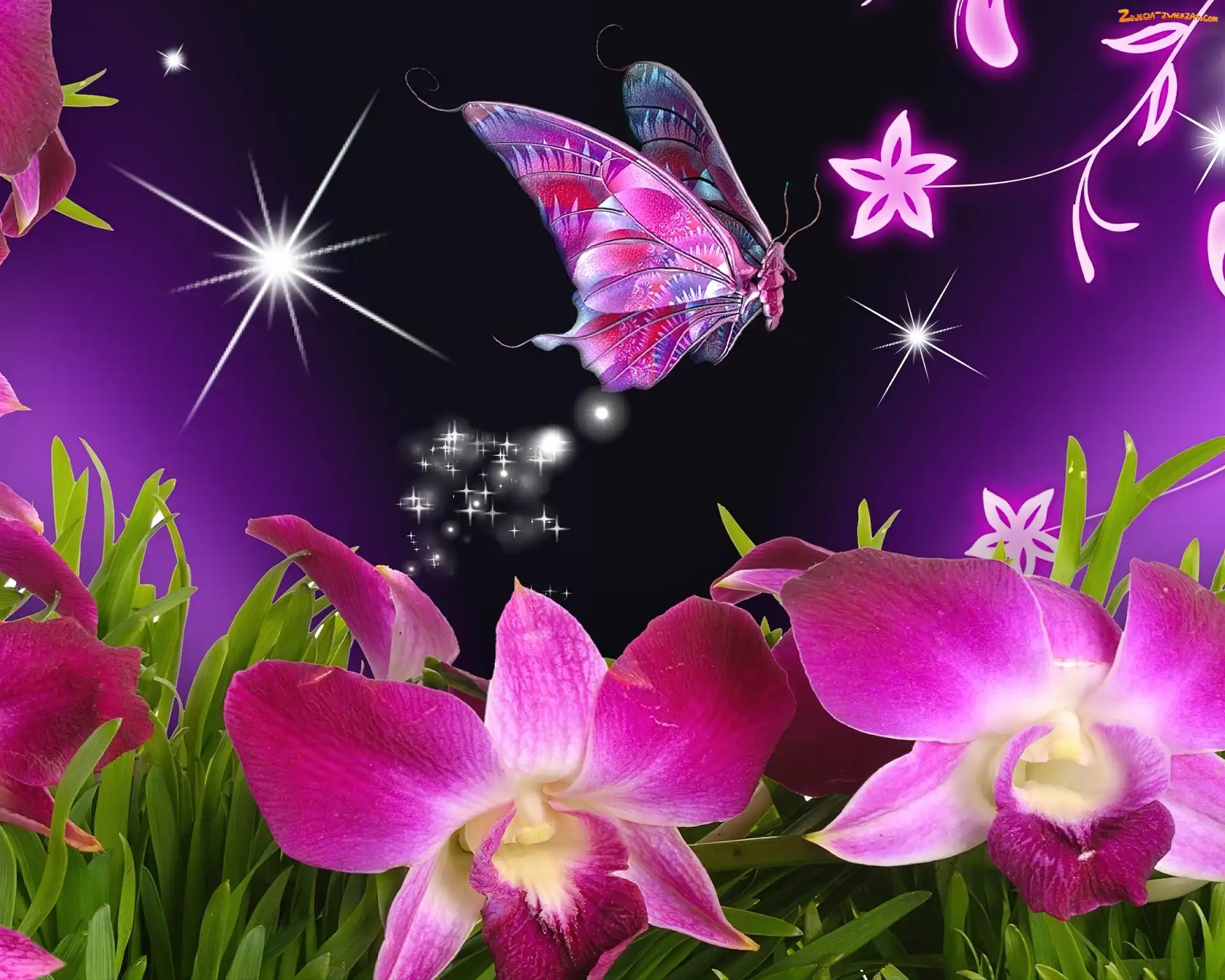 Art, Kwiaty, Motyl