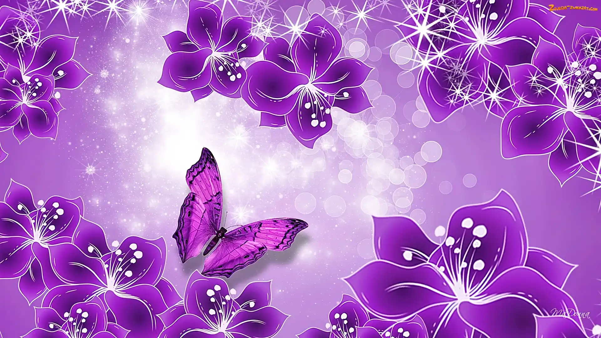 Fioletowe, Kwiaty, Art, Motyl