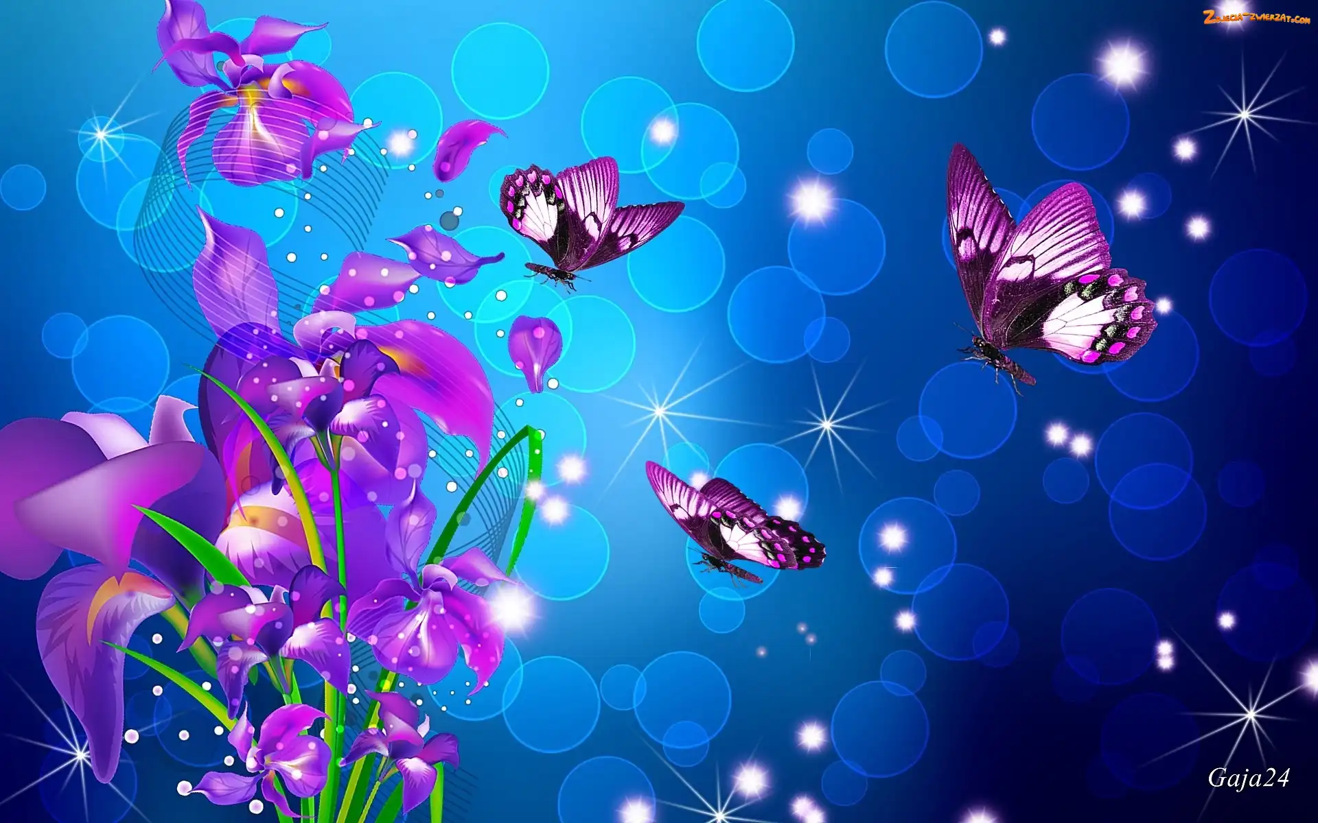 Kwiaty, Art, Fioletowe, Motyle