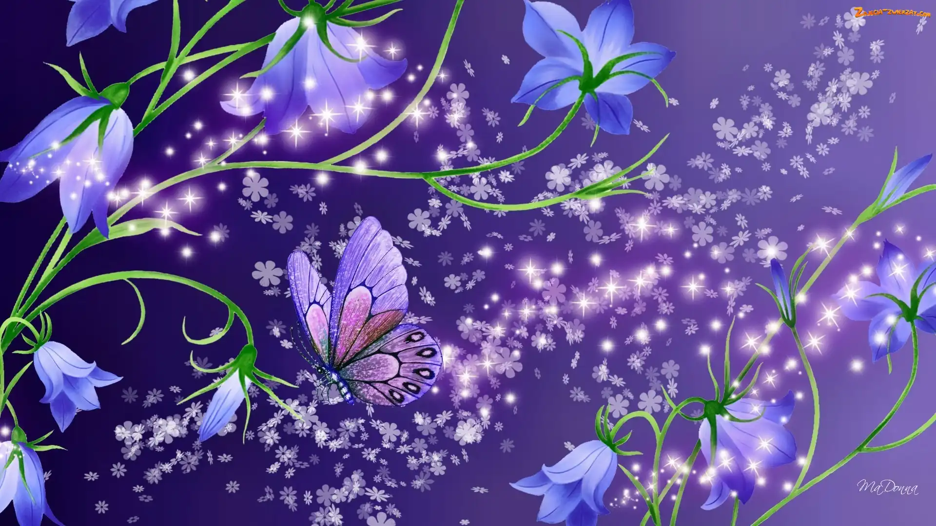 Kwiaty, Art, Niebieskie, Motyl