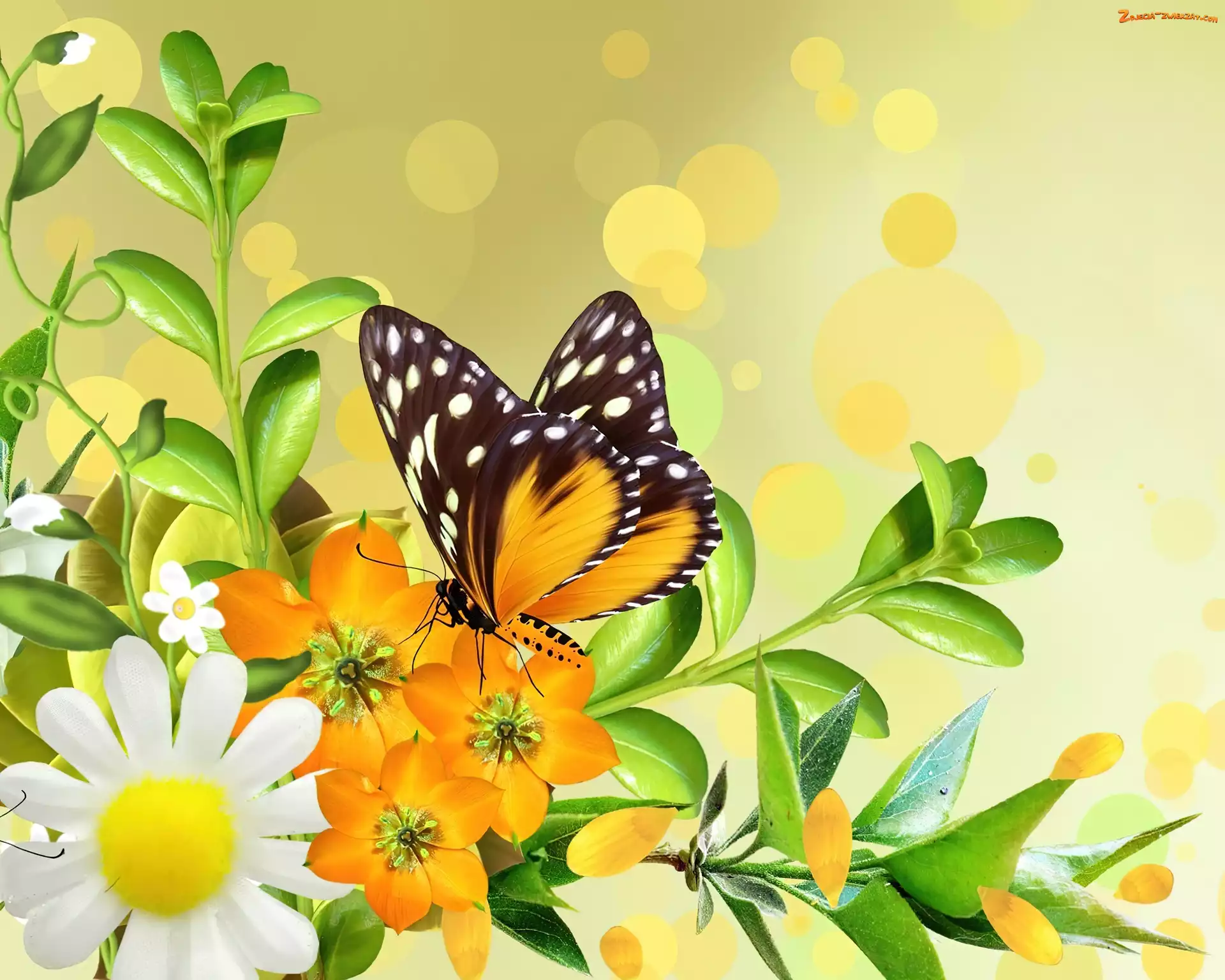 Kwiaty, Art, Żółte, Motyl