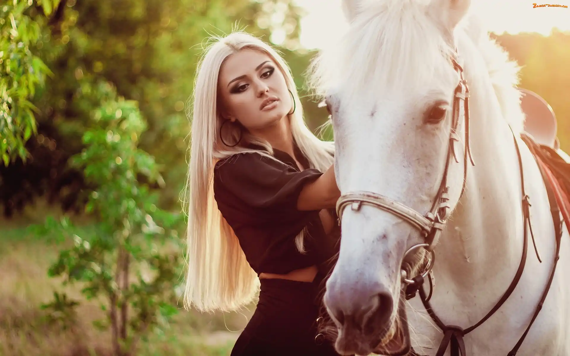 Las, Droga, Blondynka, Kobieta, Koń