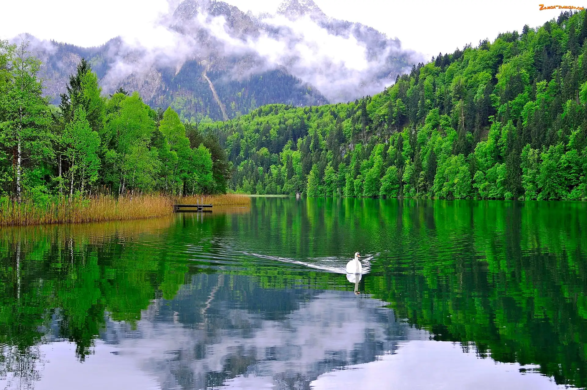 Lasy, Łabędz, Góry, Jezioro