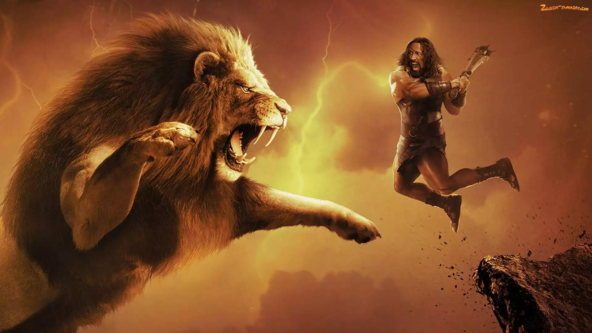 Herkules, Lew, Film, Dwayne Johnson