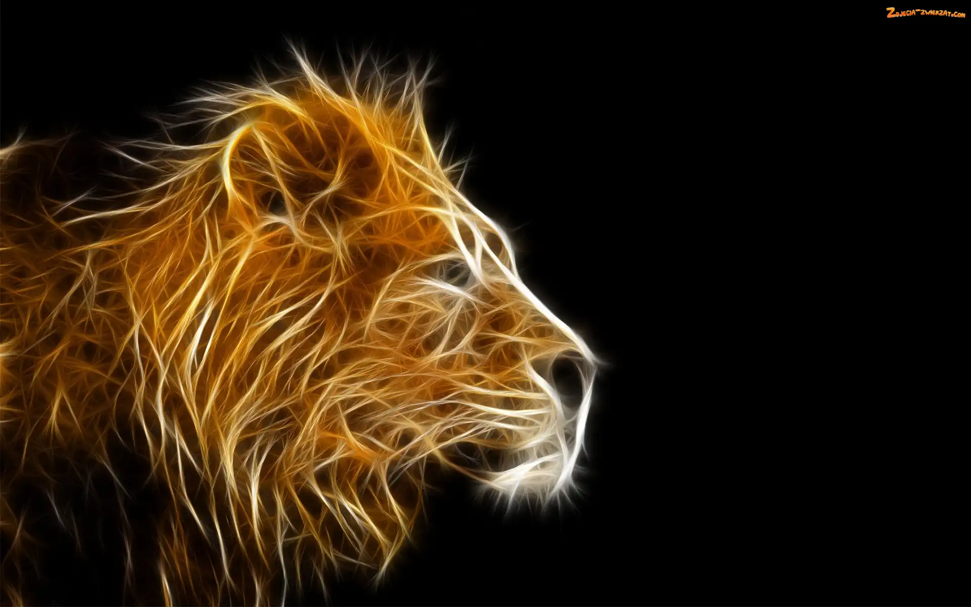 Lew, Fractalius