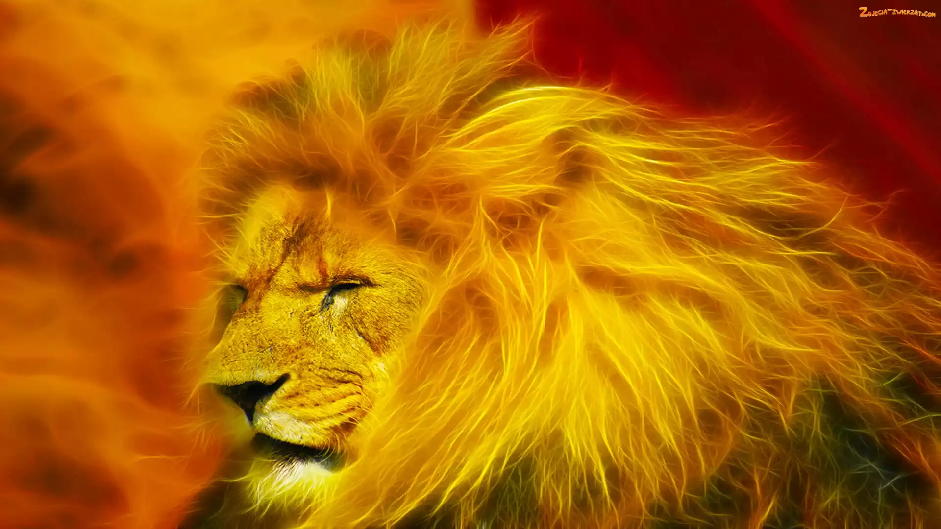 Fractalius, Lew, Grzywa