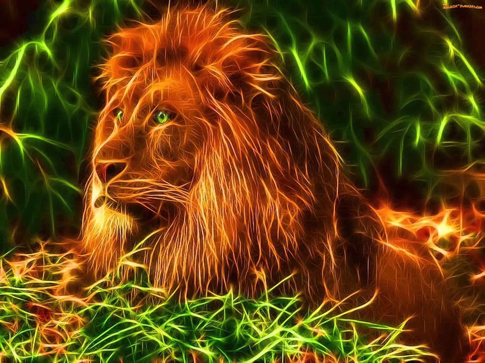 Fractalius, Lew, Grzywa