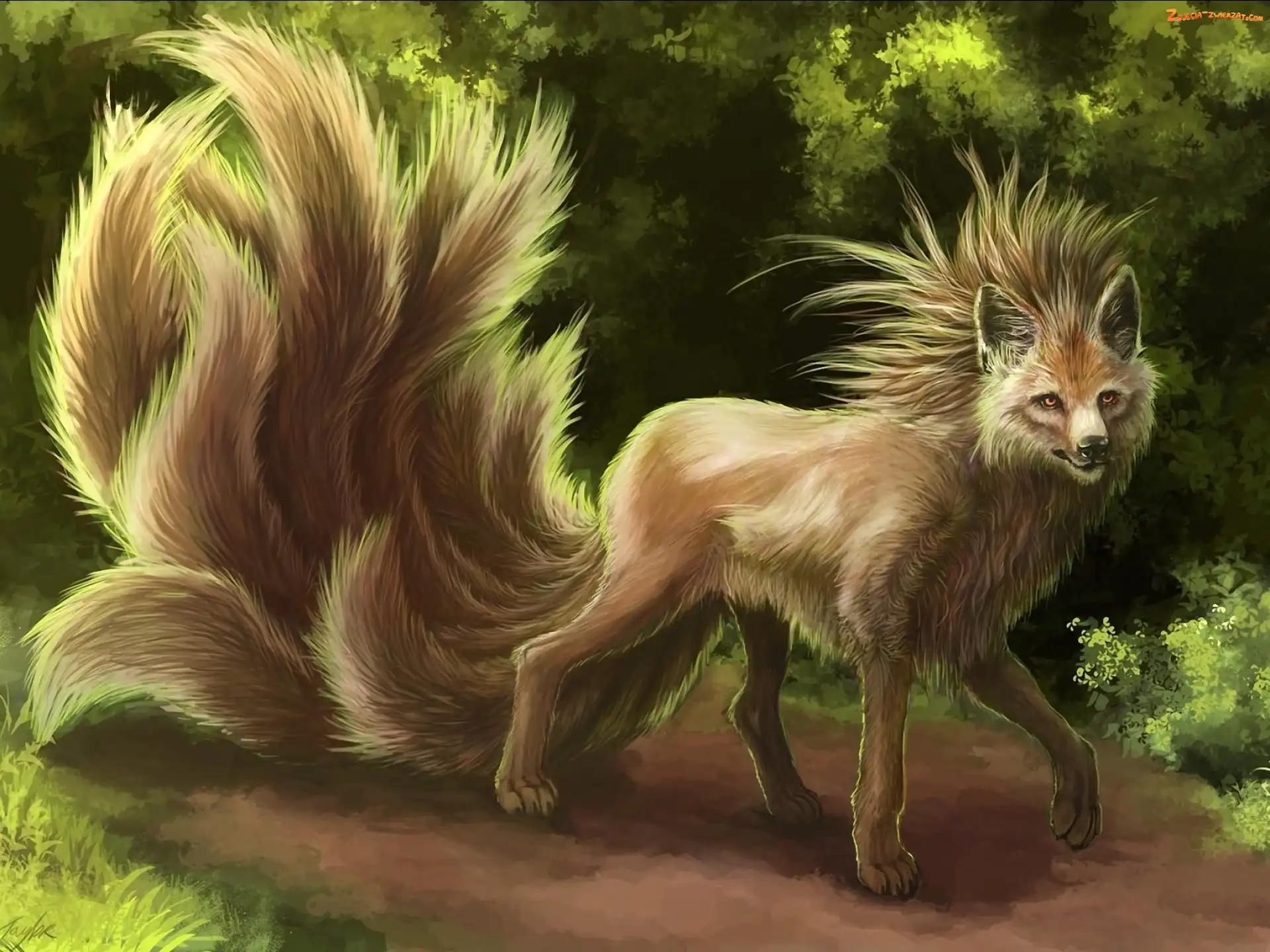 Fractalius, Lis, Art