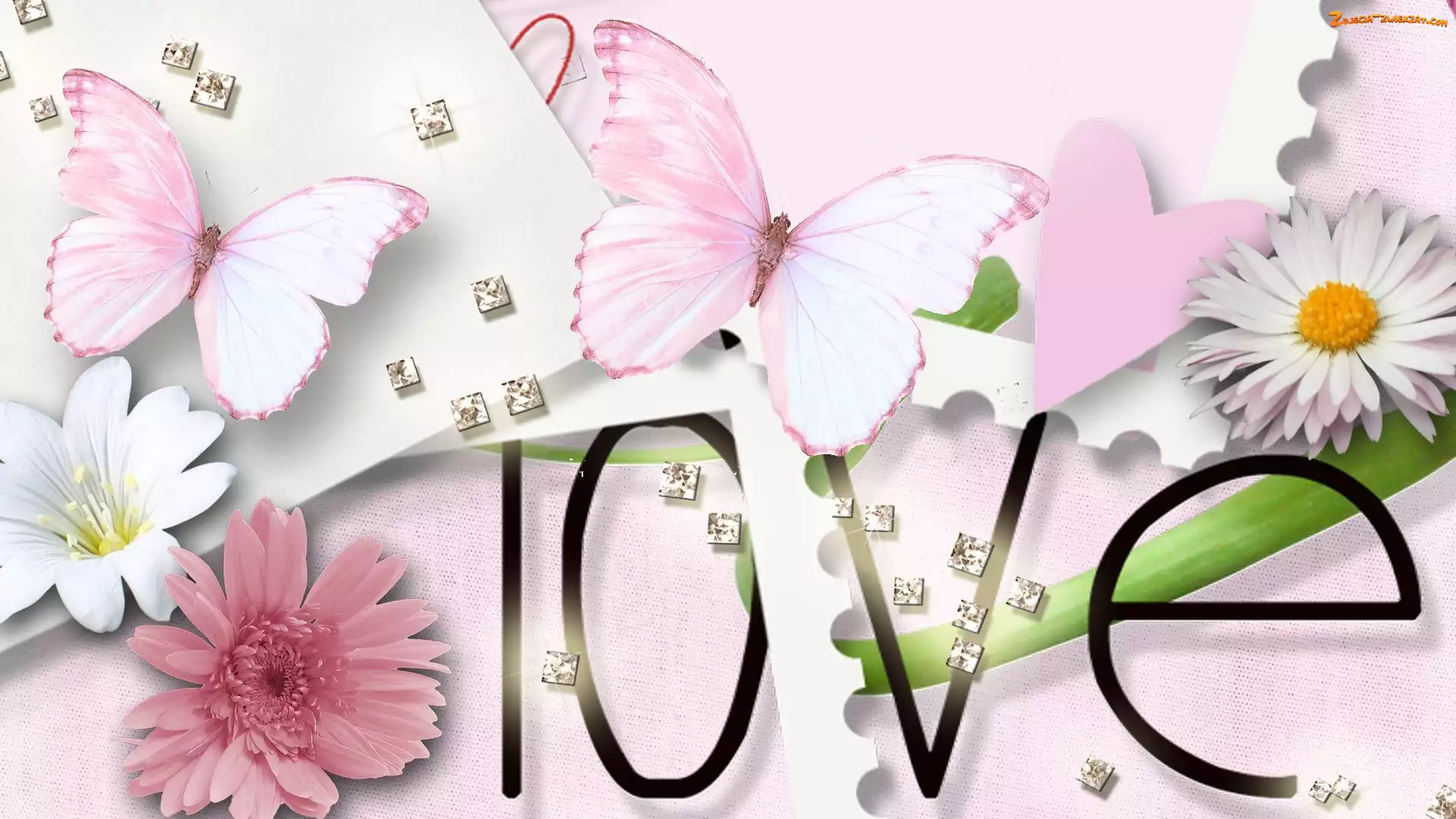 Love, Motyle, Napis, Kwiaty