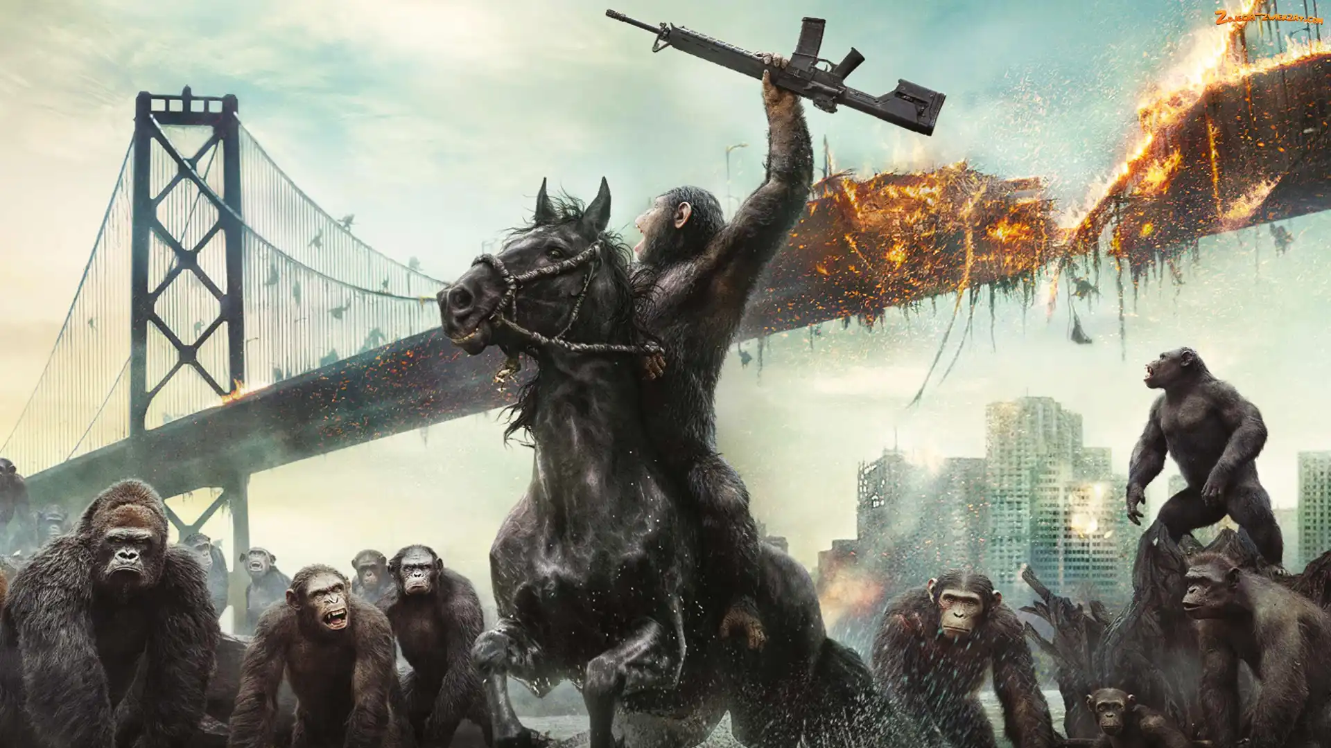 Małpy, Dawn of the Planet of the Apes, Film, Zniszczony, Most, Ewolucja planety małp, Wojna