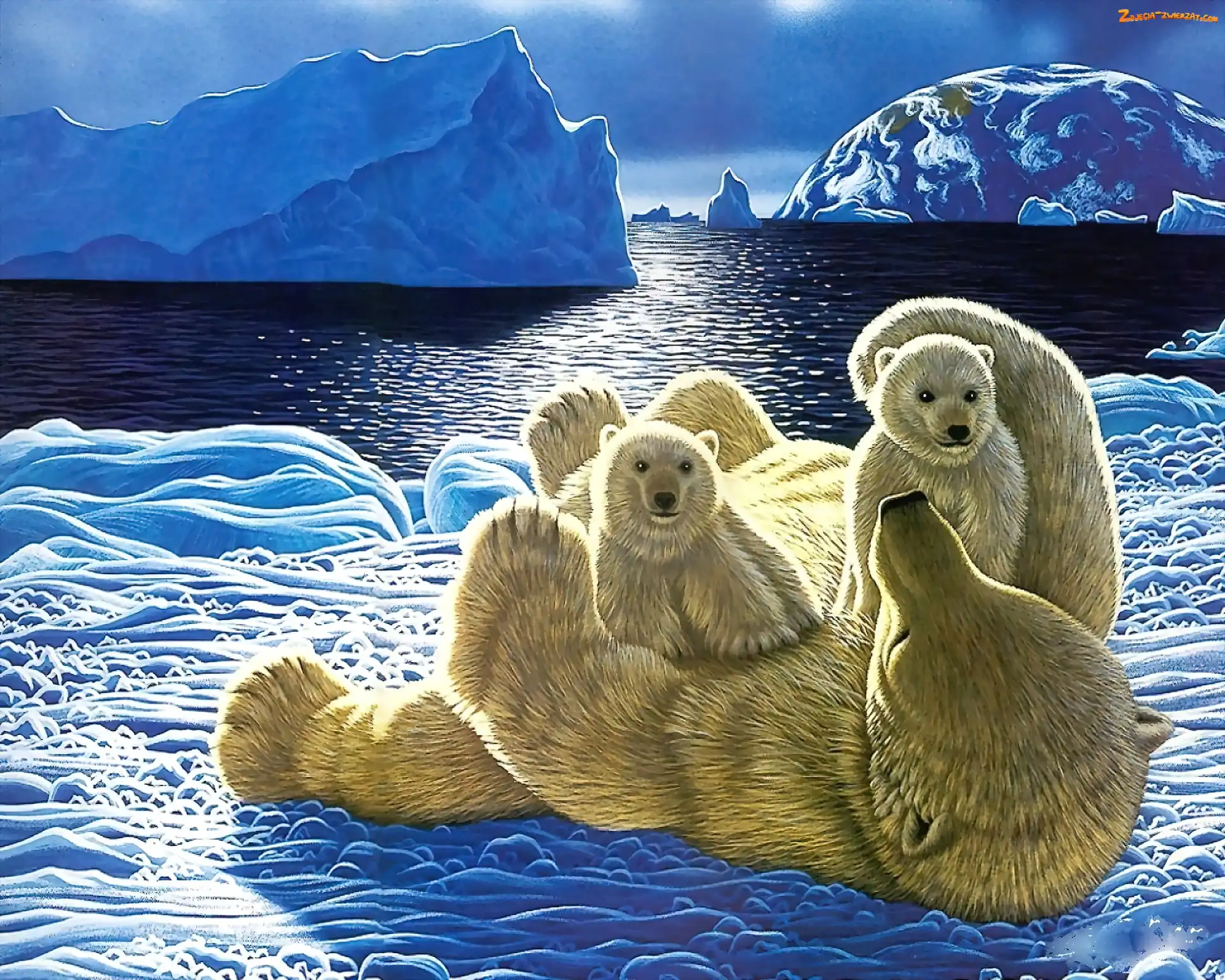 Śnieg, Misie, Miś, Mama, Małe