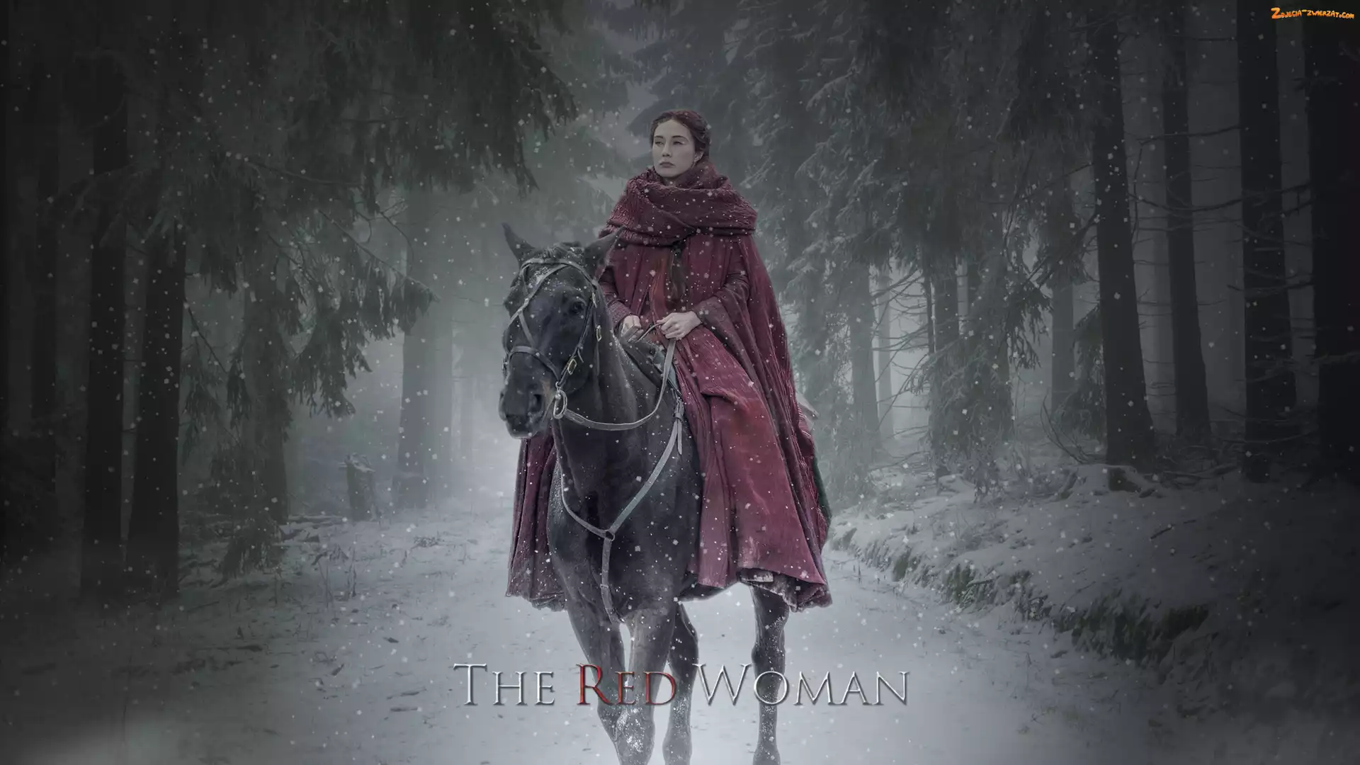 Game of Thrones, Serial, Koń, Melisandre, Gra o tron, Carice van Houten