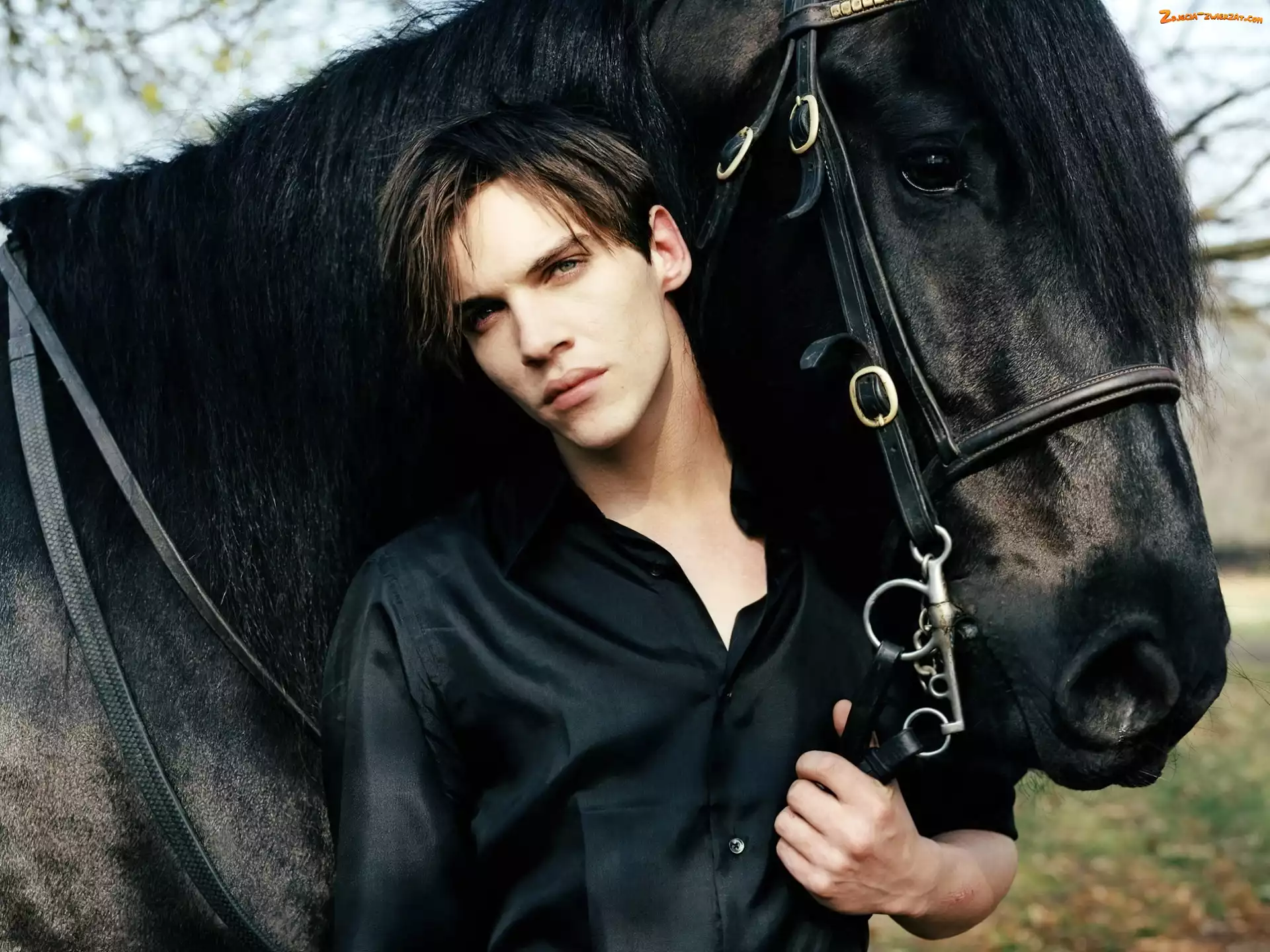 Aktor, Mężczyzna, Czarny, Rhys, Meyers, Koń, Jonathan