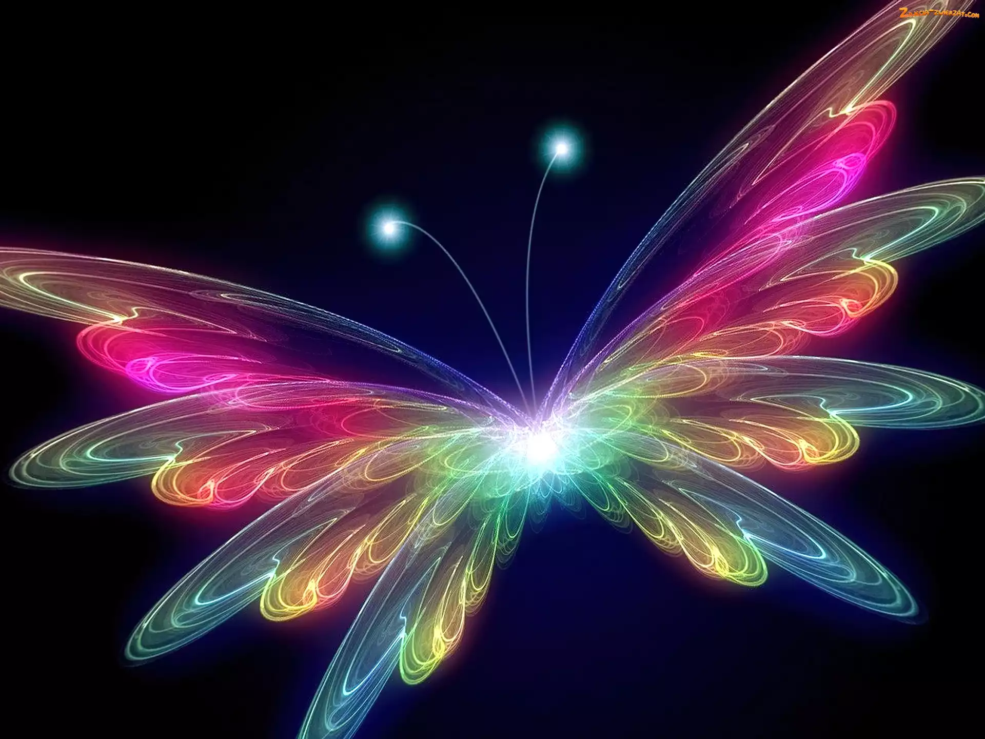 Neon, Motyl, Światło