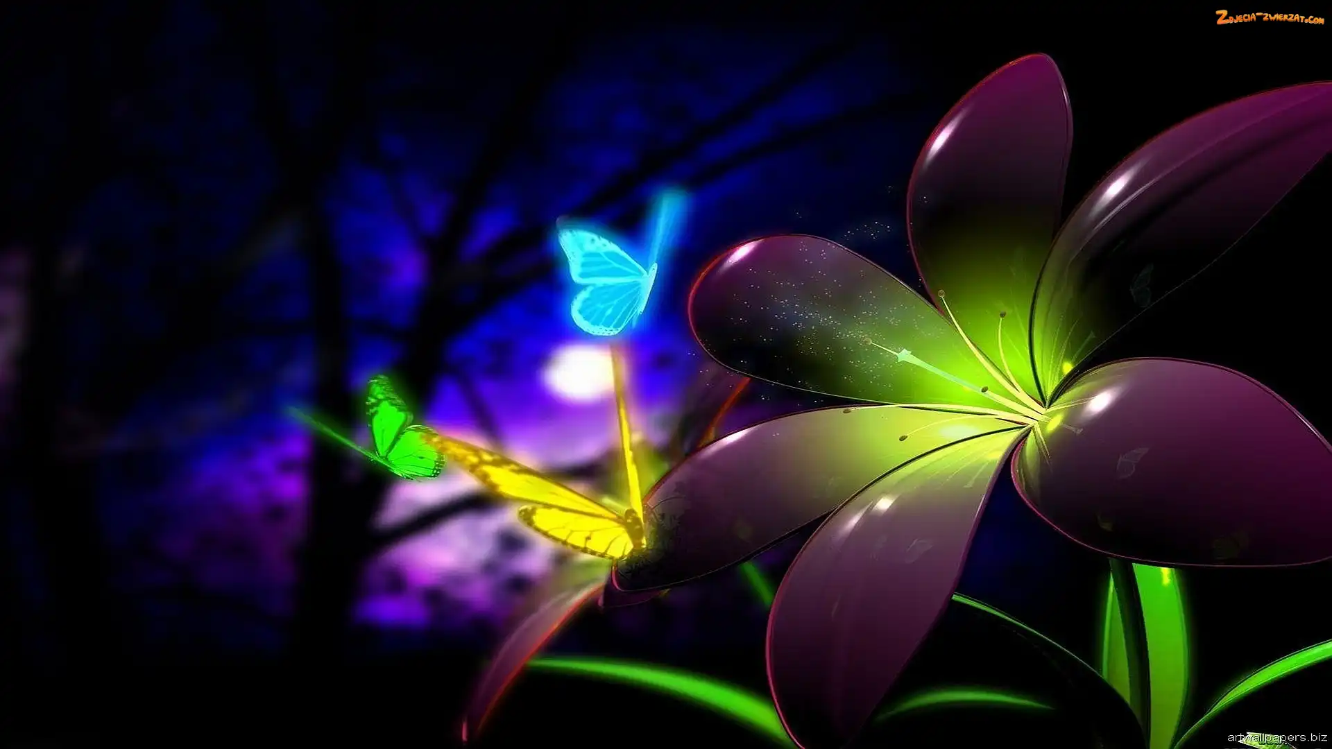 Motyle, 3D, Kwiat, Neon