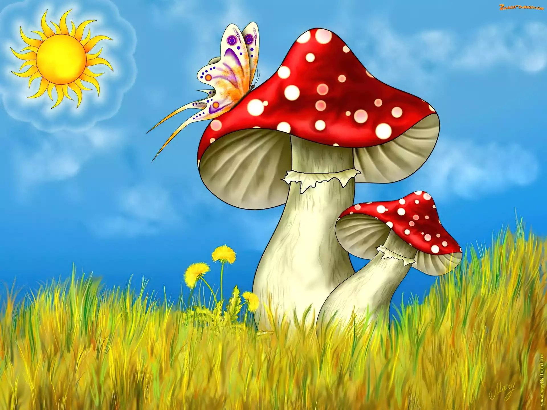 Muchomory, Słońce, Grzyby, Motyl