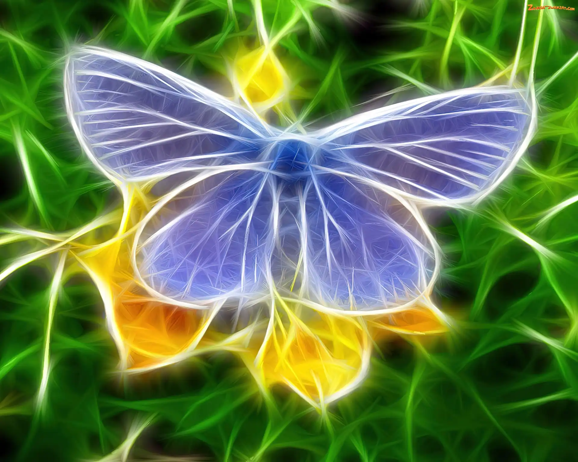 Fractalius, Niebieski, Motyl modraszek