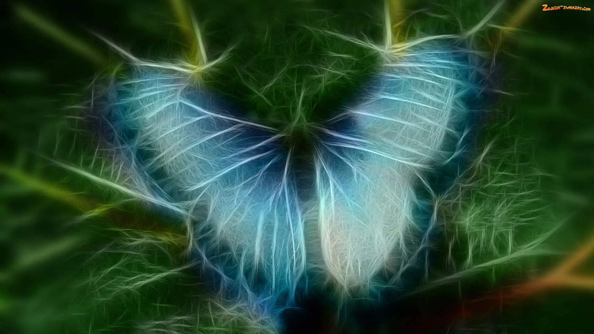 Fractalius, Niebieski, Motyl