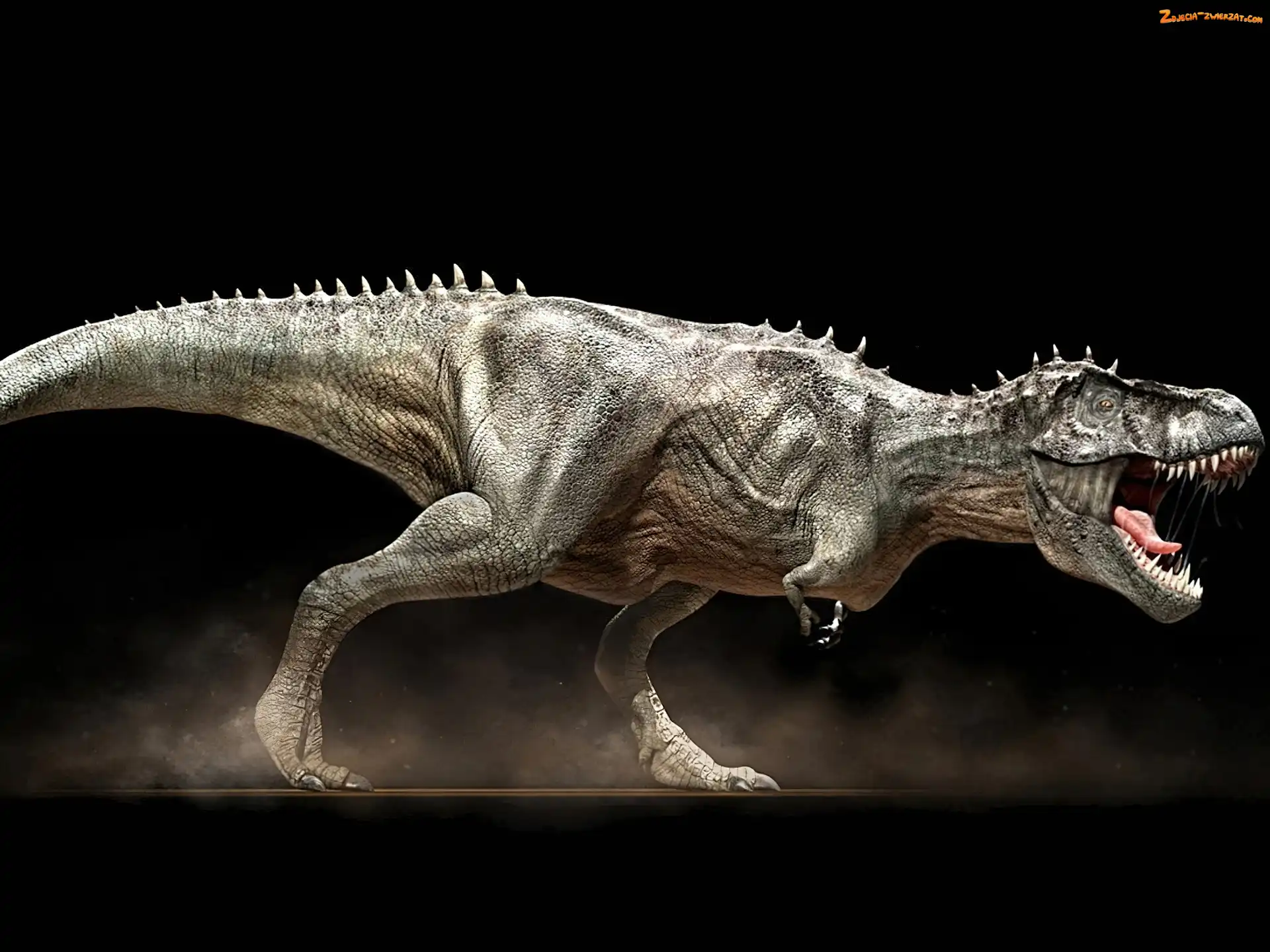 Dinozaur, Ogromny
