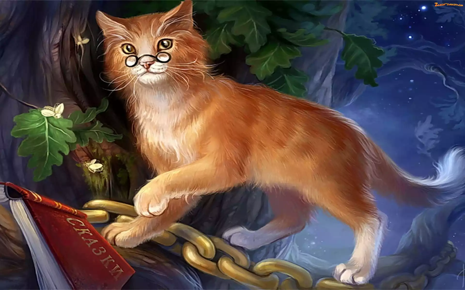 Okulary, Fantasy, Kot, Art