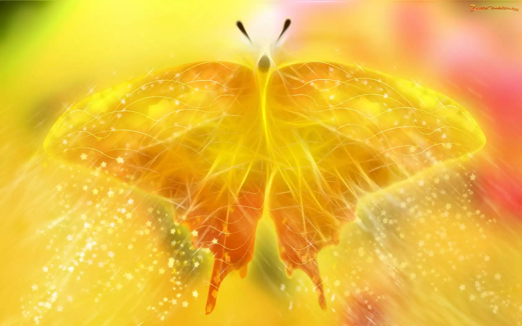 Grafika, Żółty, Motyl