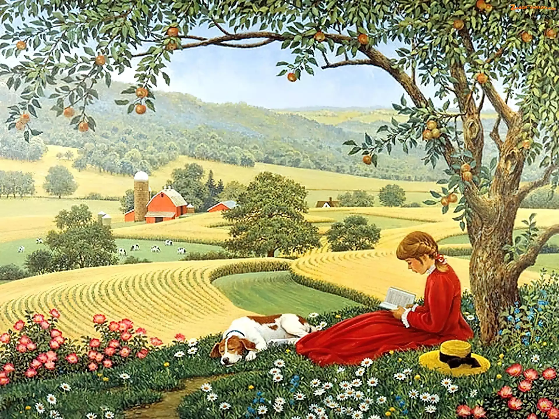 Owocowe, Drzewo, Pies, Dziewczyna, Łąka