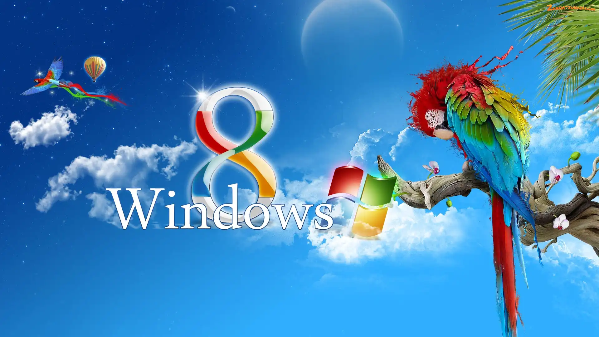 Papuga, System Operacyjny, Windows 8
