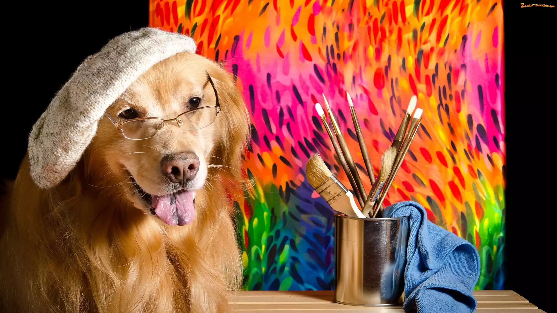 Obraz, Okulary, Pies, Szmatka, Kubek, Czapka, Golden retriever, Pędzelki