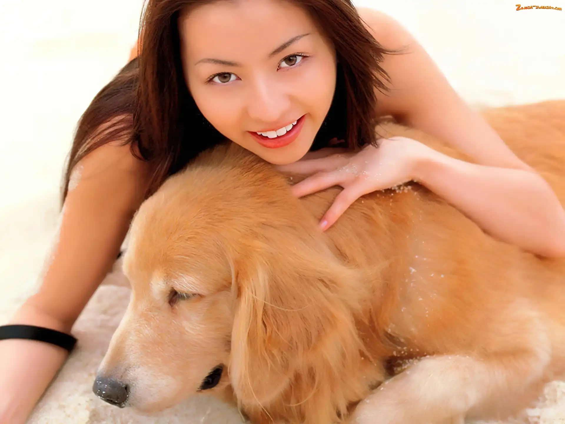 Kobieta, Golden Retriever, Piękna, Piesek
