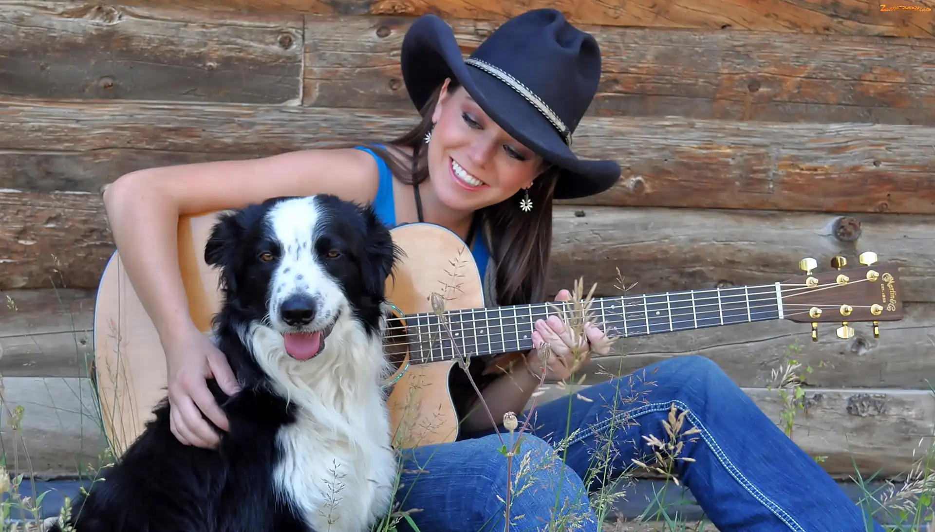 Piosenkarka, Border collie, Carin Mari, Gitara
