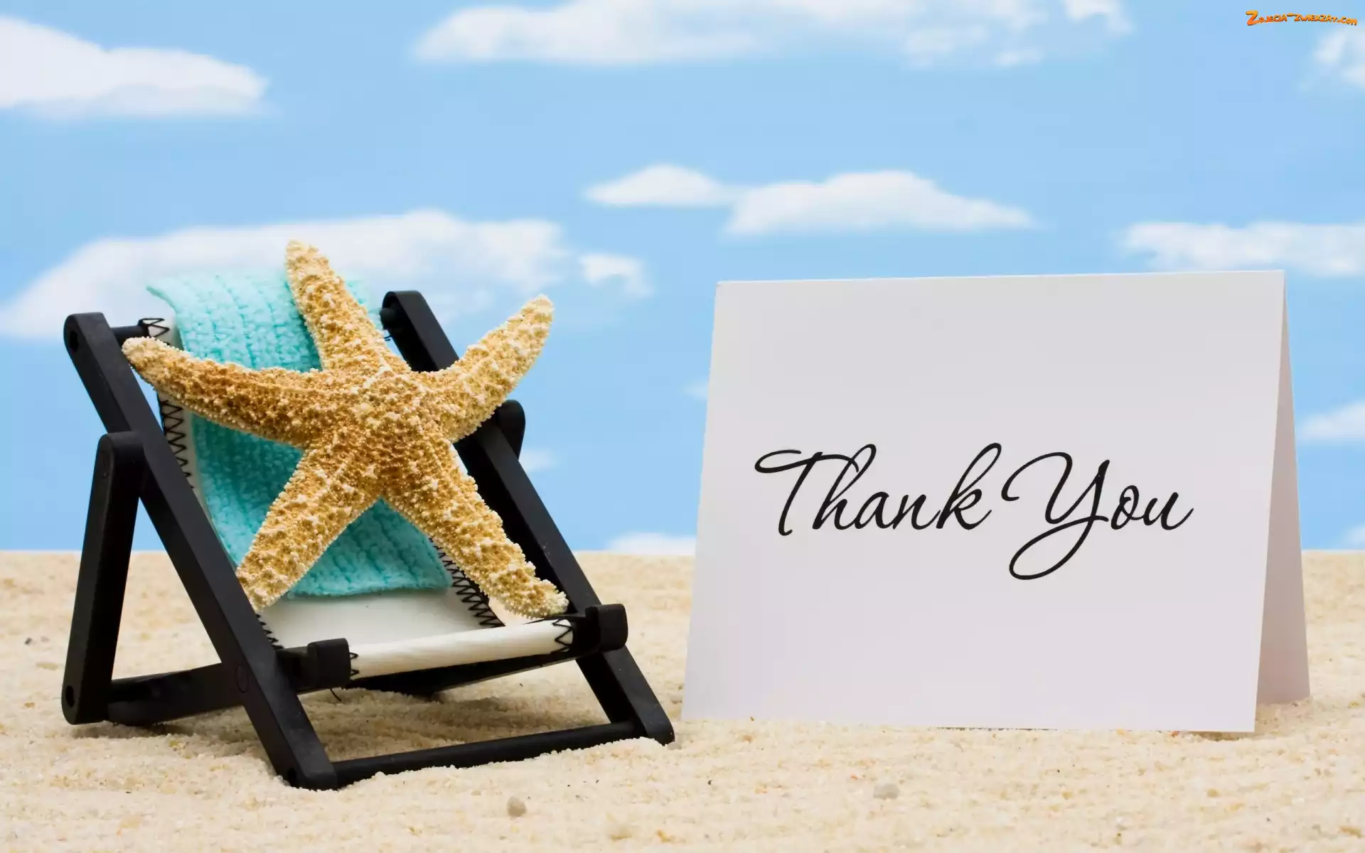 Rozgwiazda, Niebo, Thank you, Podziękowanie, Plaża, Liścik
