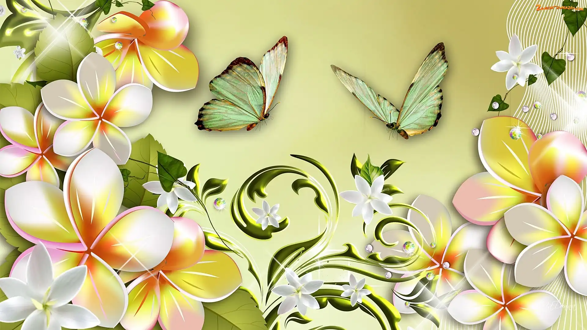 Plumeria, Art, Kwiaty, Motyle