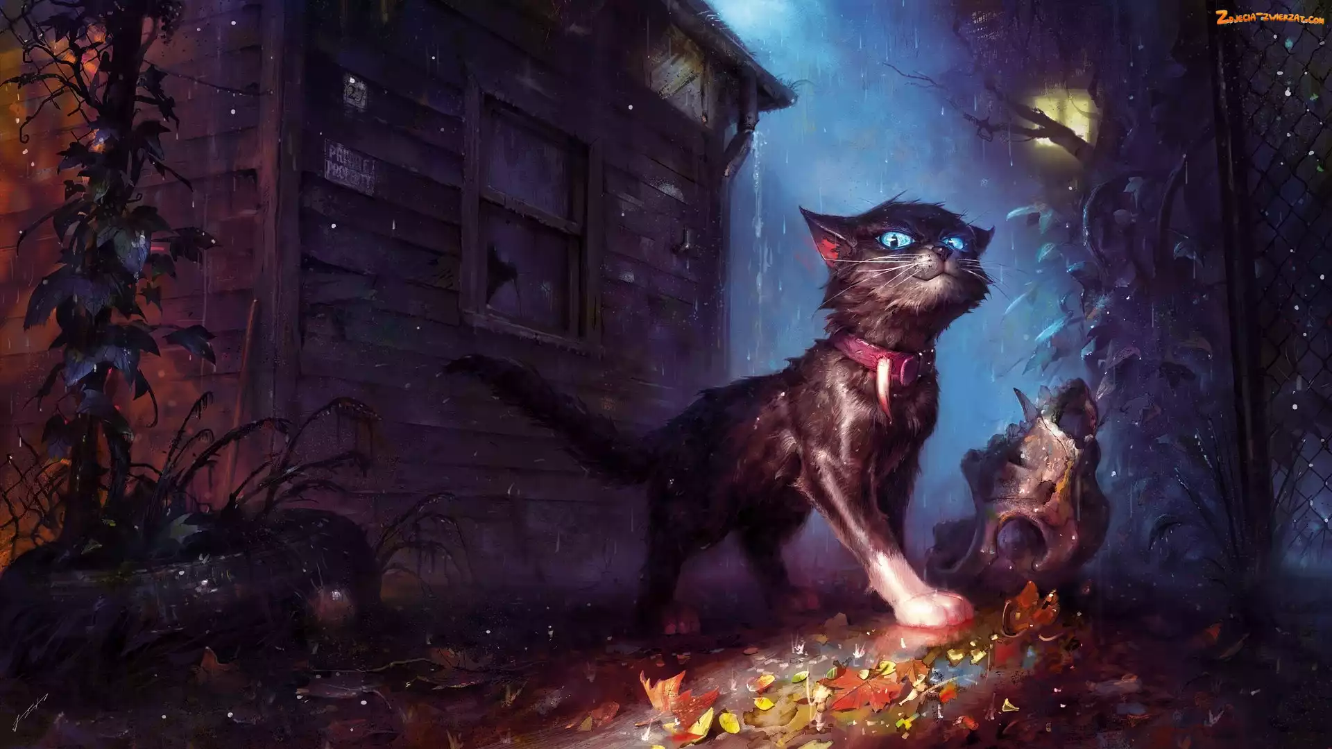 Bicz początek legendy, Książki, Kot, Digital Art, Okładka