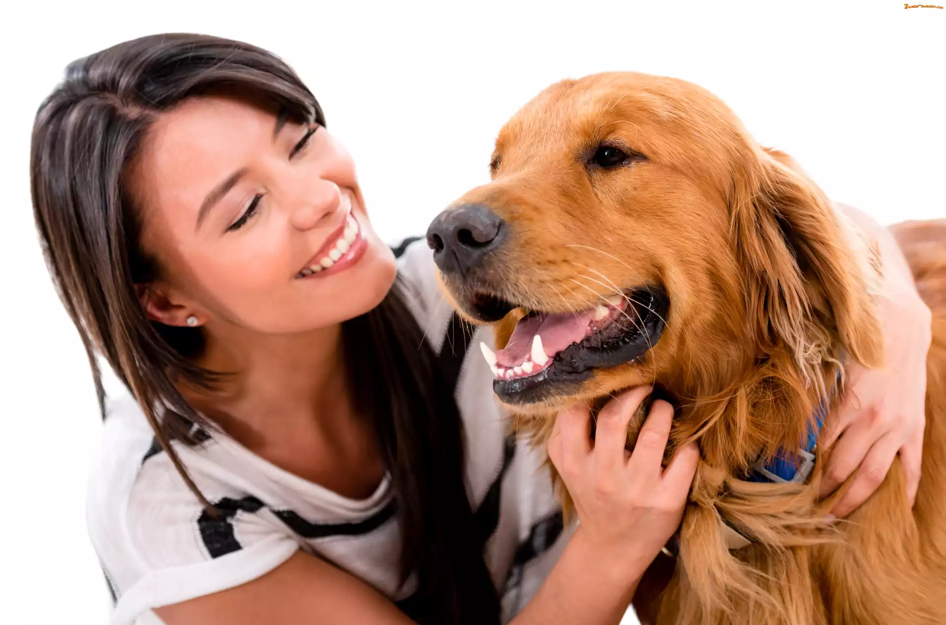 Przyjaźń, Golden Retriever, Dziewczyna, Uśmiechnięta, Pies