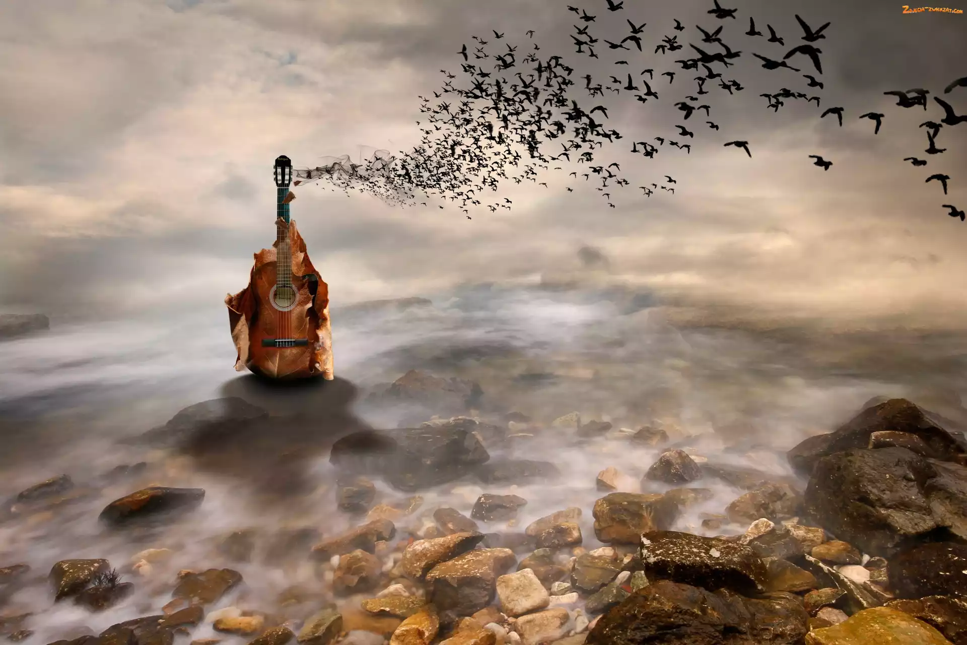 Ptaki, Kamienie, Gitara, Fantasy, Morze