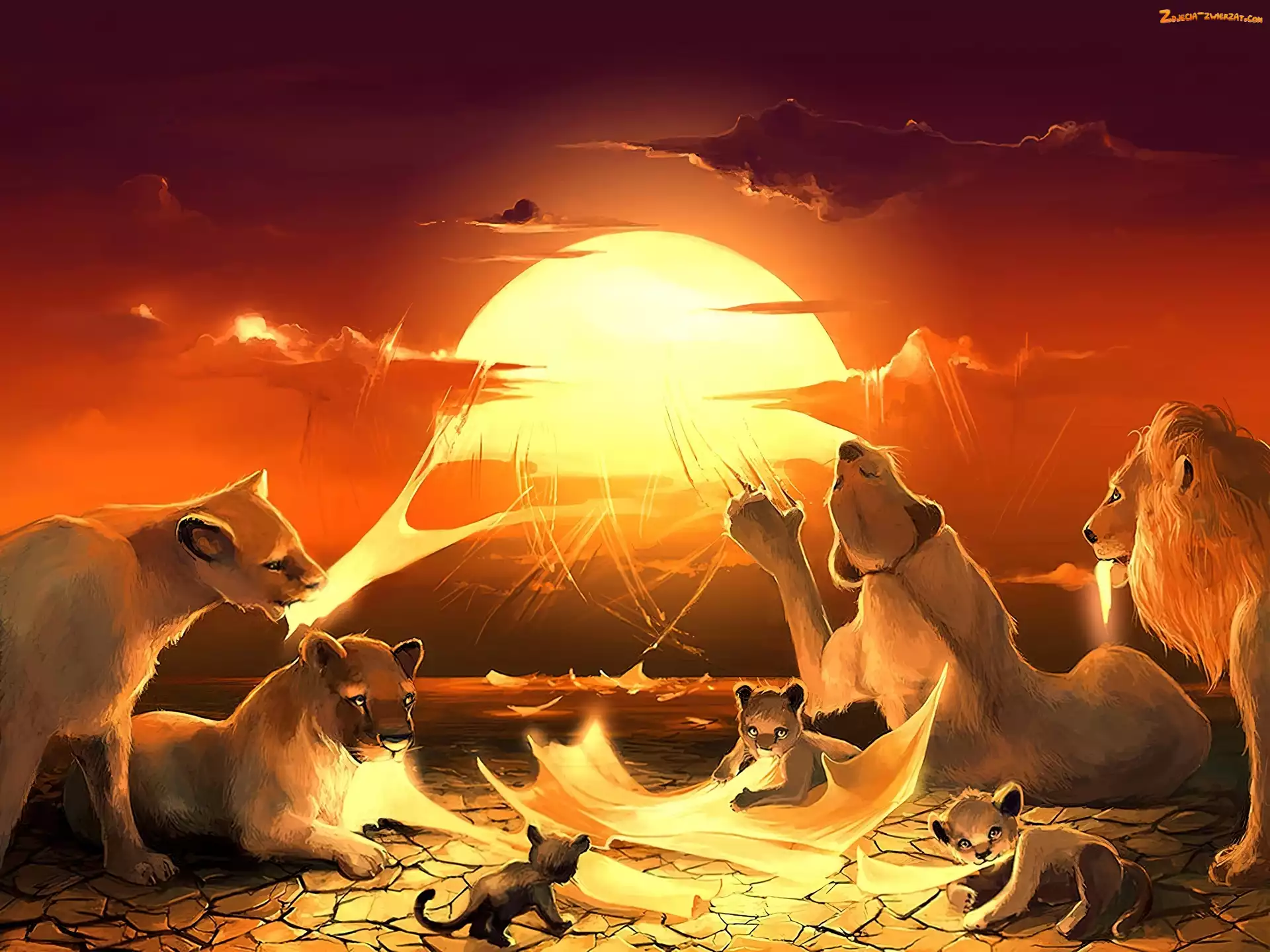 Lwy, Cyril Rolando