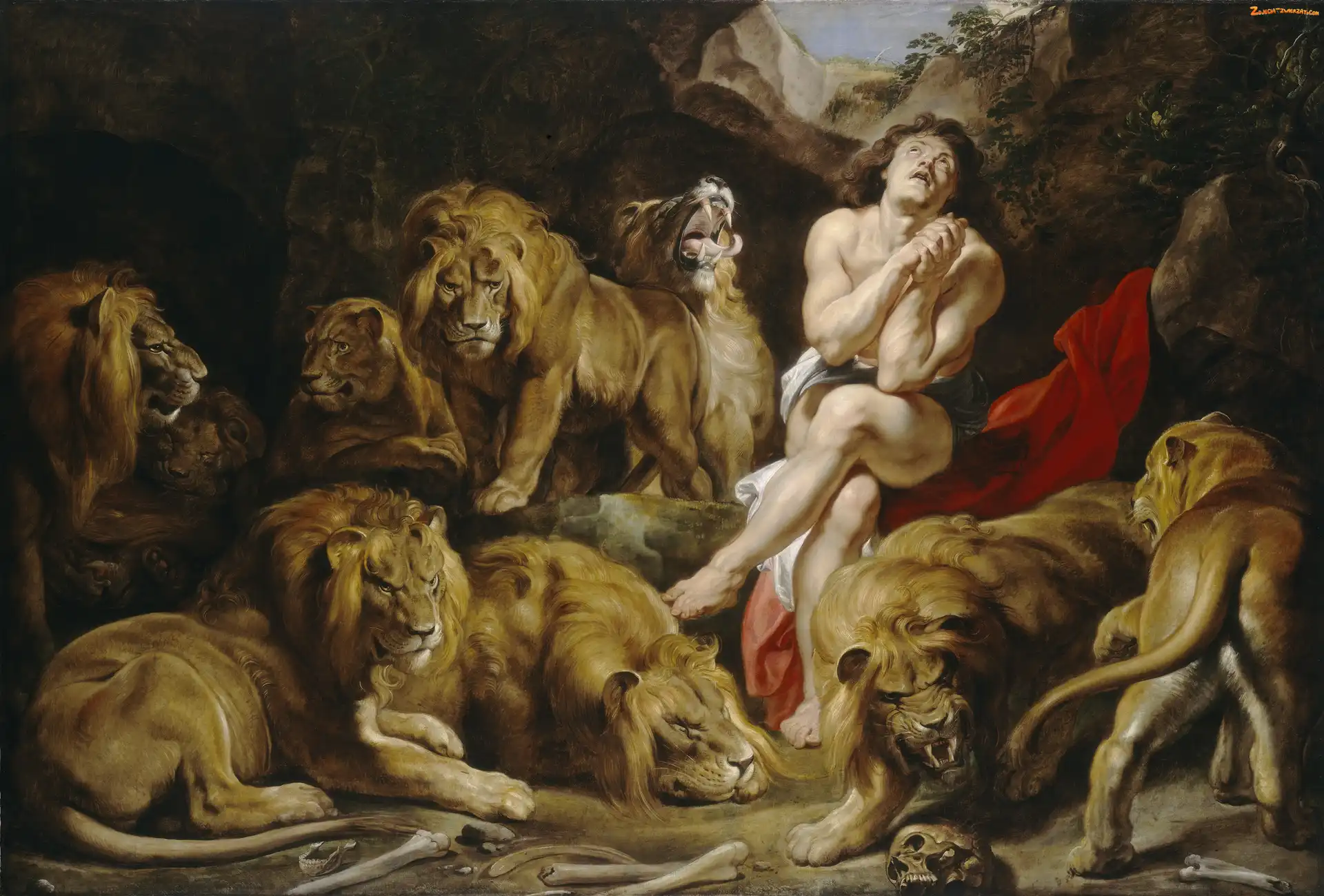 Malarstwo, Peter Paul Rubens, Lwy, Daniel