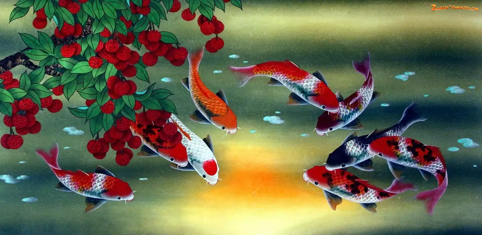 Rośliny, Ryby, Koi