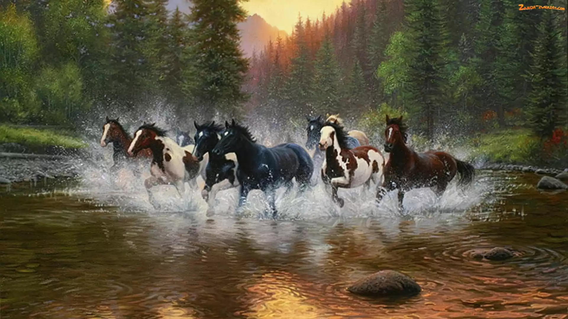 Konie, Rzeka, Galop, Las