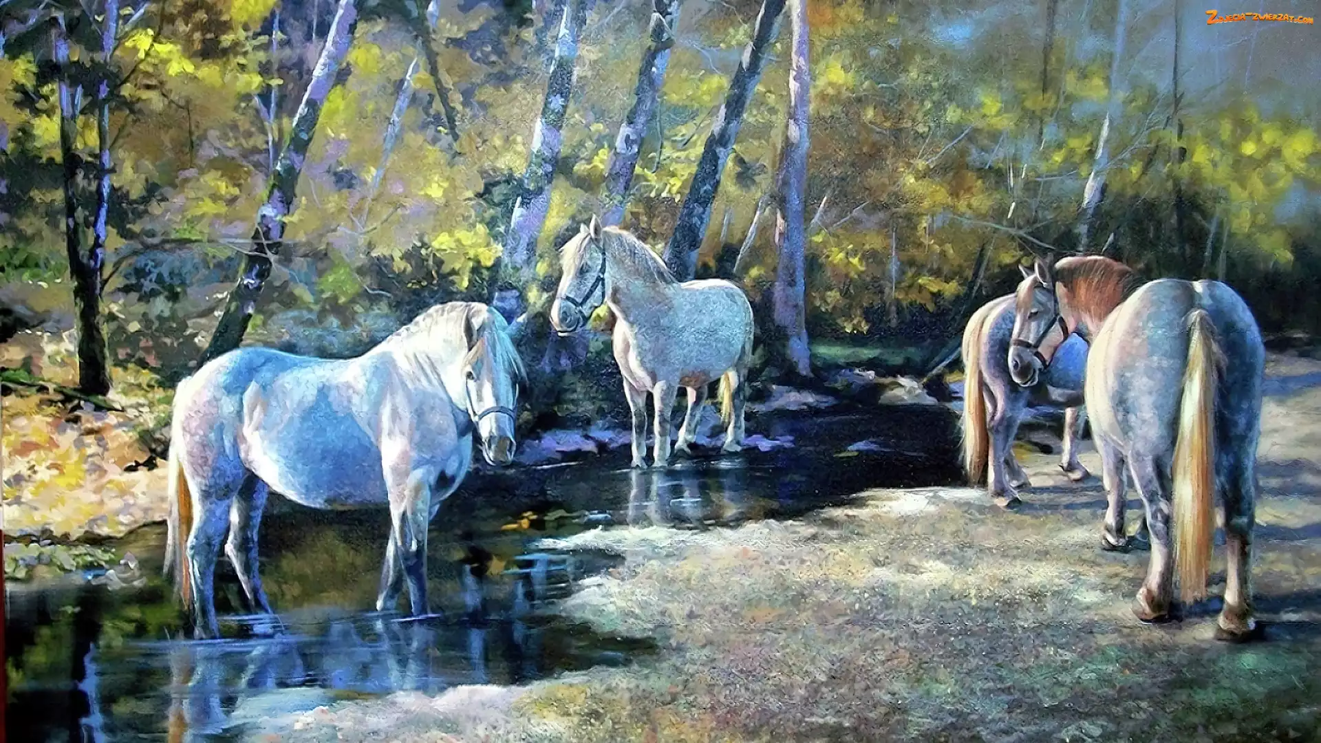 Konie, Rzeka, Obraz, Las