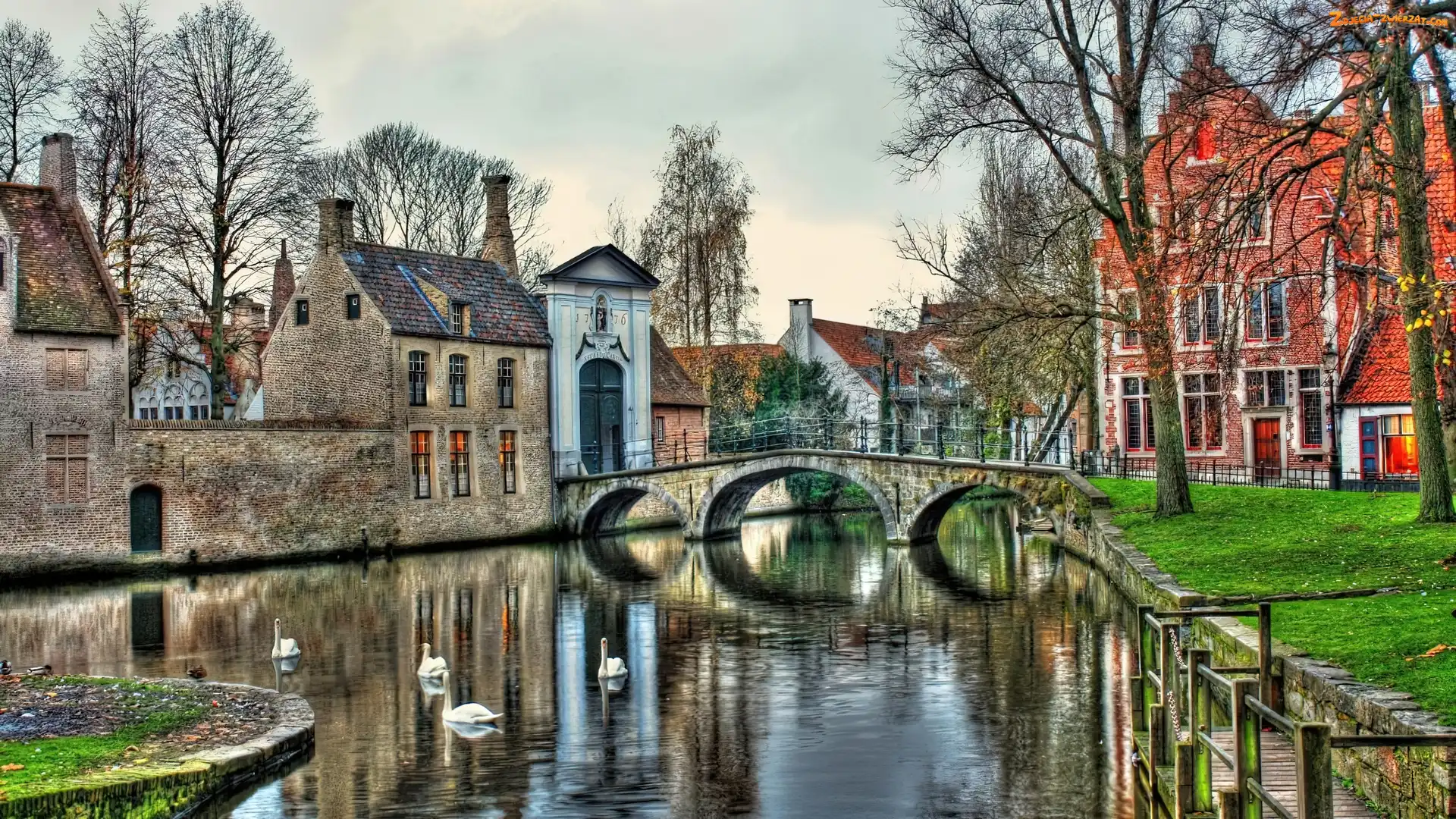 Rzeka, Łabędzie, Miasteczko, Most