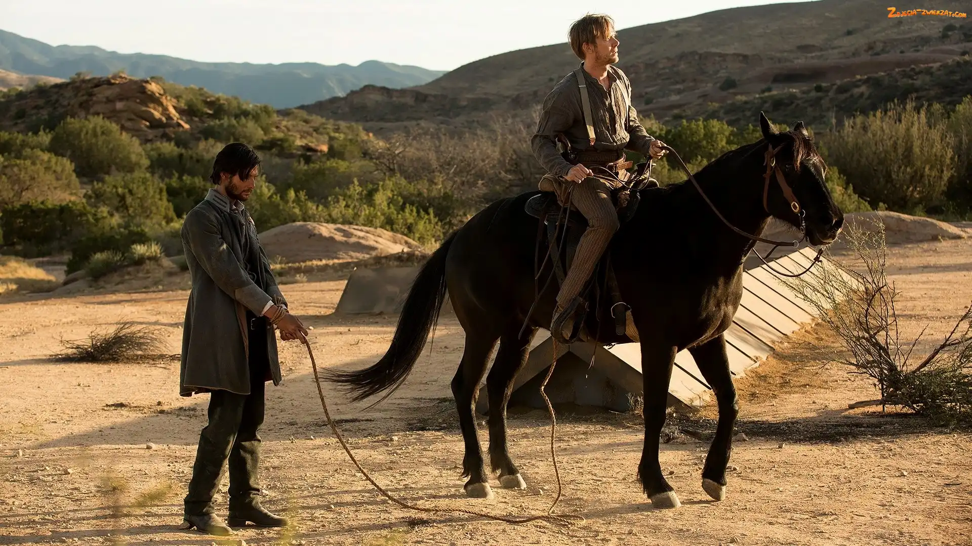 Aktor, Koń, William, Jimmi Simpson, Serial, Westworld, Aktor, Logan, Bohaterowie, Ben Barnes