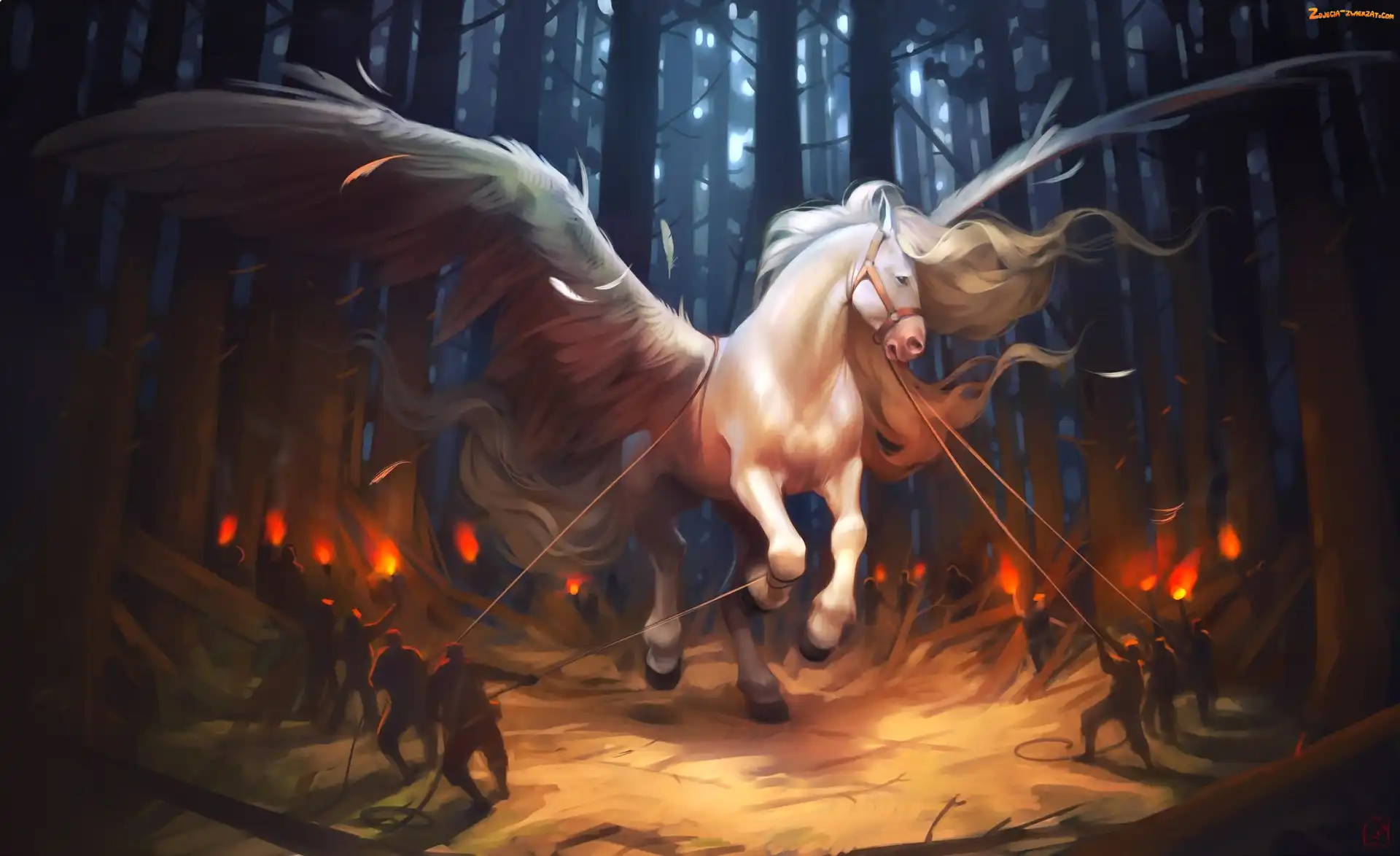 Skrzydlaty, Fantasy, Pegaz, Koń