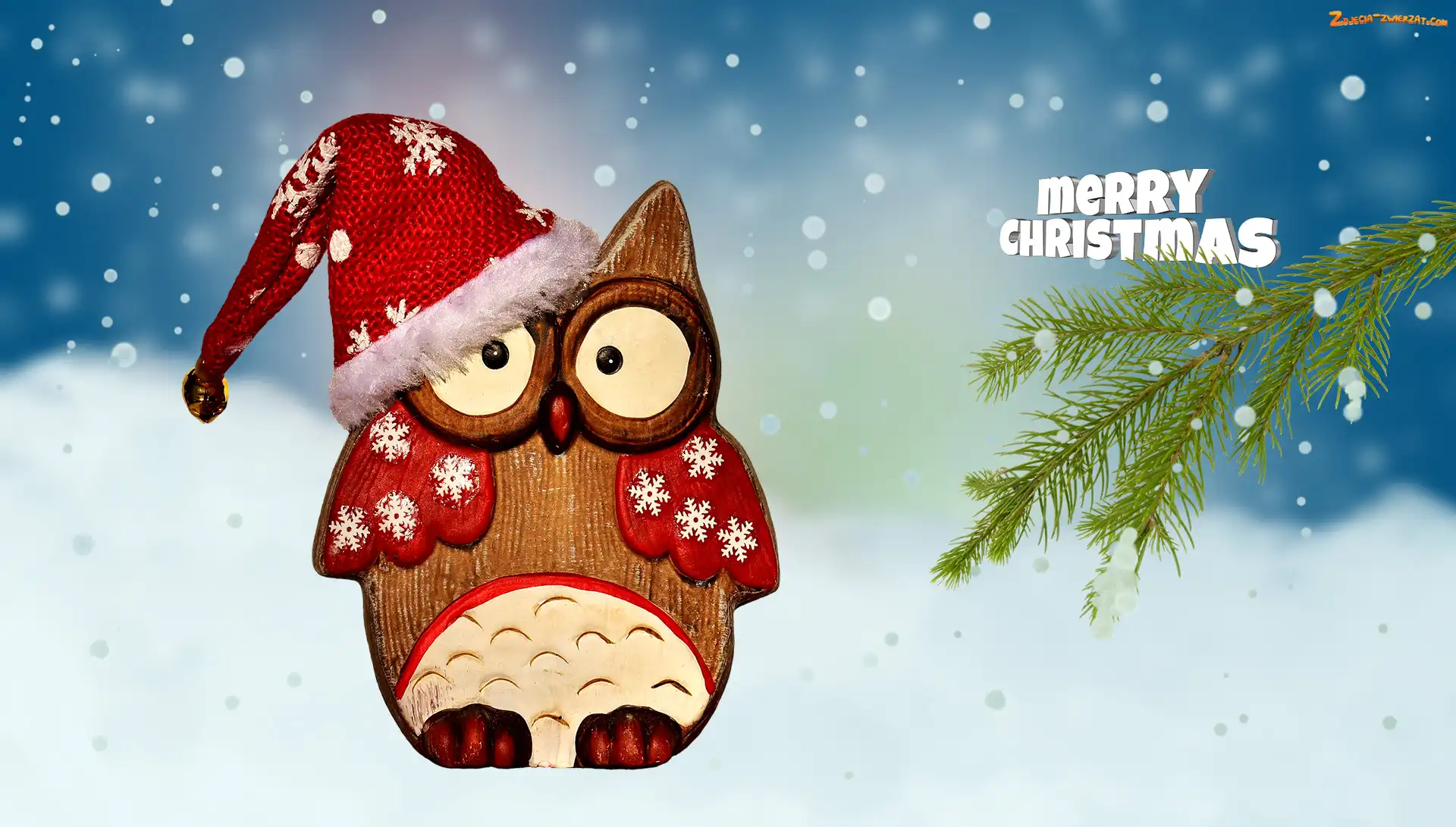 Merry Christmas, Czapka, Śnieg, Sowa, Gałązka
