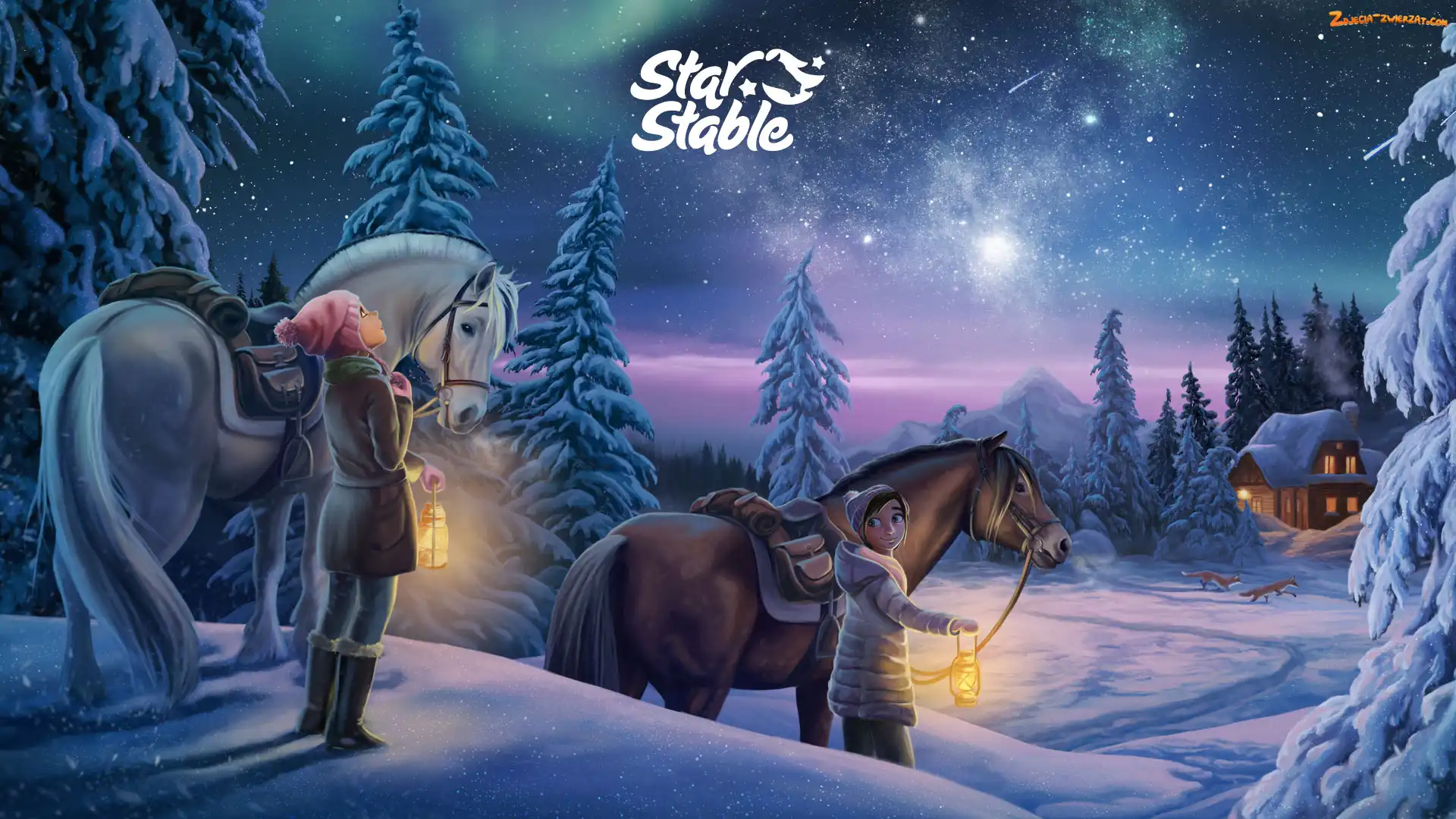 Star Stable, Zima, Gra, Konie