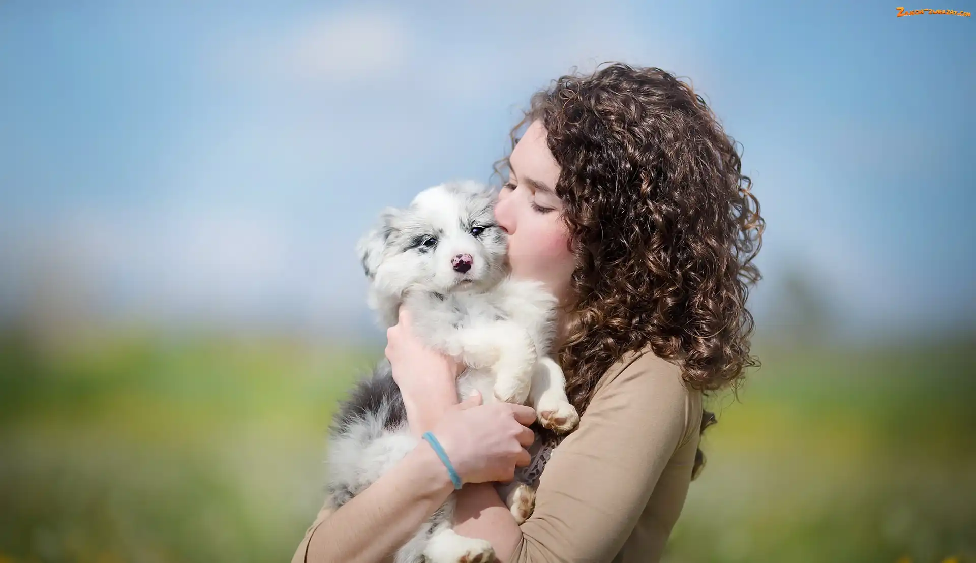 Szczeniak, Przytulenie, Kobieta, Border collie