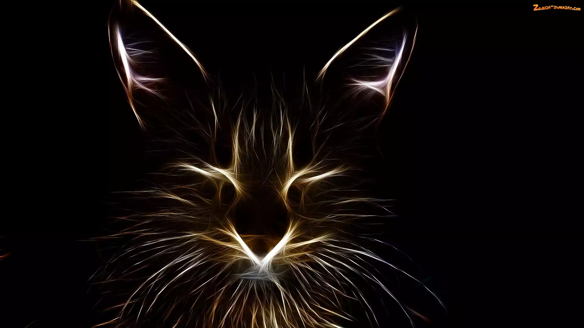 Tło, Czarne, Grafika, Kot, Fractalius